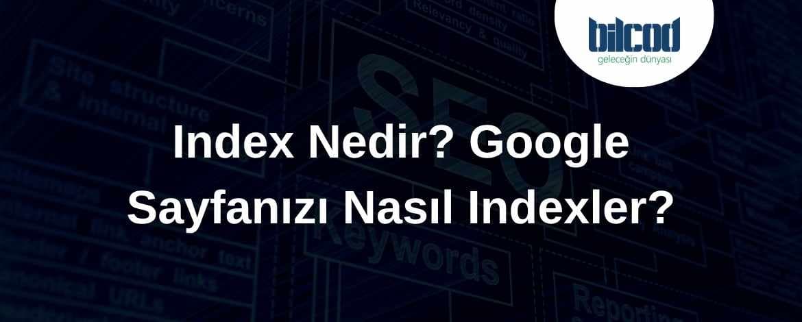 Index Nedir? Google Sayfanızı Nasıl Indexler?