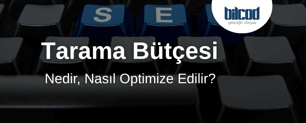 Tarama Bütçesi Nedir? Nasıl Optimize Edilir?